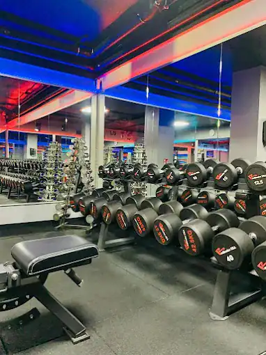 Fitness – Gym Inhaltsbild zu Fitness – Gym